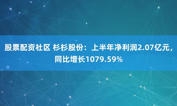股票配资社区 杉杉股份：上半年净利润2.07亿元，同比增长1079.59%