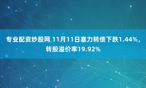 专业配资炒股网 11月11日塞力转债下跌1.44%，转股溢价率19.92%