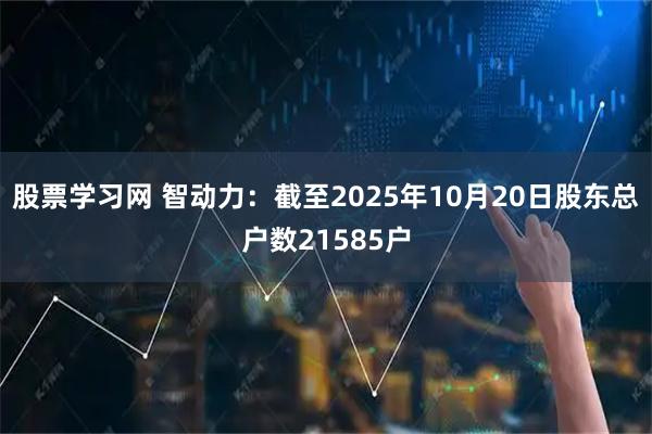 股票学习网 智动力：截至2025年10月20日股东总户数21585户
