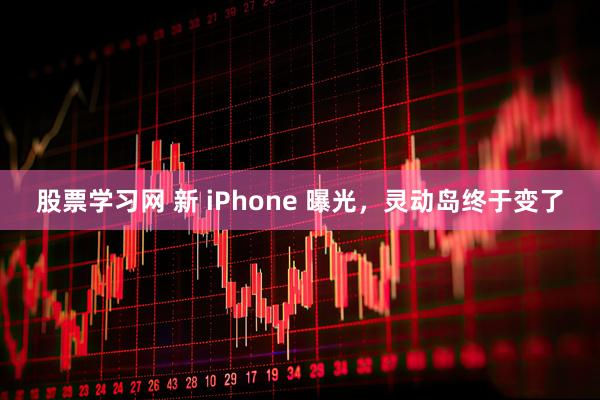 股票学习网 新 iPhone 曝光，灵动岛终于变了