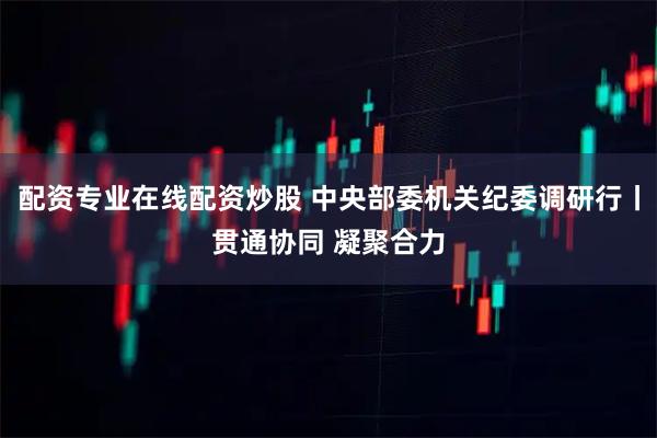 配资专业在线配资炒股 中央部委机关纪委调研行丨贯通协同 凝聚合力