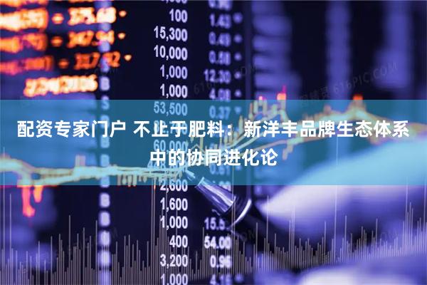 配资专家门户 不止于肥料：新洋丰品牌生态体系中的协同进化论
